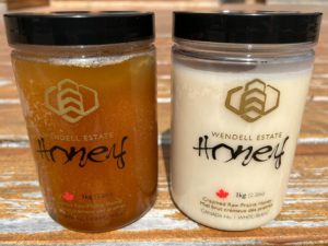 Honeydew honey (left) compared with premium Canadian prairie-blossom honey (right)