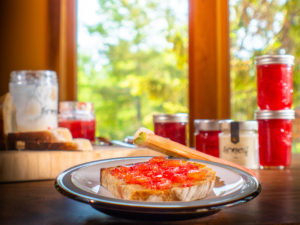 Rhubarb jam: intensely tart rhubarb balanced with delicately sweet honey