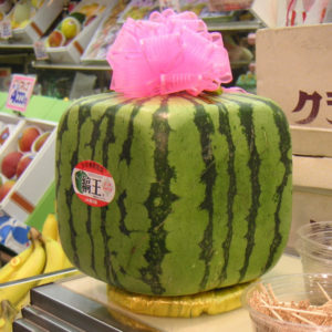 Japanese gift watermelons can cost well over $100. The value will surely be appreciated by the recipient.